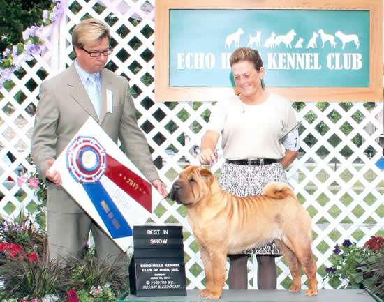 Best in Show