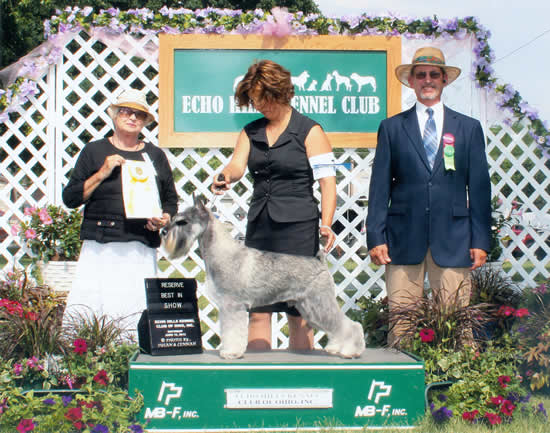 Reserve Best in Show